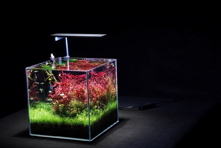 نور مخصوص آکواریوم های گیاهی برند ال ای دی استار مدل نانو نور مخصوص آکواریوم های گیاهی برند ال ای دی استار مدل نانو